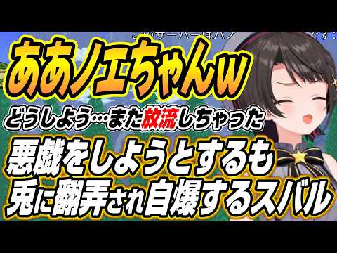 【hololive切り抜き/大空スバル】隠れて悪戯をしようとするも兎に翻弄されて何度も自爆するスバルのホロテラリア８日目【兎… サムネイル
