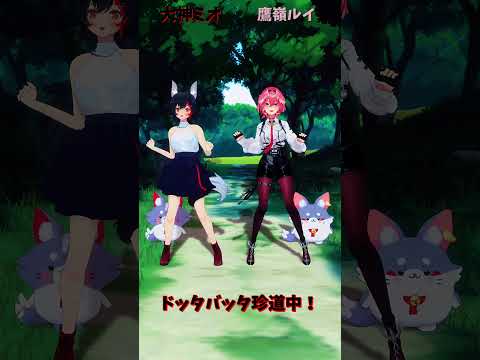 「ホロライブ」「ドッタバッタ珍道中！」　@OokamiMio　@TakaneLui　shorts サムネイル