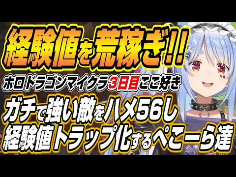 【hololive切り抜き/兎田ぺこら】ガチで強い敵をハメて経験値トラップ化するぺこーらのホロドラゴンマイクラ３日目ここ好き… サムネイル
