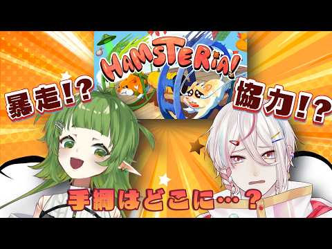 【協力ハムスターゲーム】Hamsteria【四ッ谷やえ/あちあ】 サムネイル