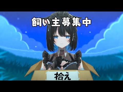 【雑談】飼い主募集中。誰か拾ってください。可愛いって言われるのが好きです。【葵井詩雫】 vtuber talk サムネイル