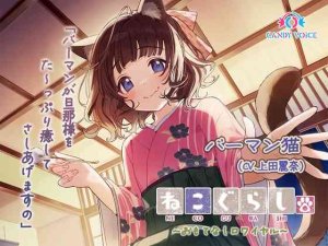 2024年12月28日 DLsite総合ランキング