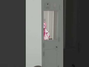 周央サンゴのダンス動画解説｜監獄で覚えるお得な振付とテクニック – Vtuberを探せるサイト