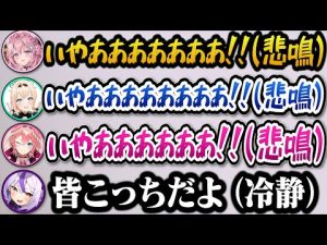 ホロライブメンバーが挑戦！マイクラ肝試しのリアクションと冷静なラプ様の魅力 – Vtuberを探せるサイト